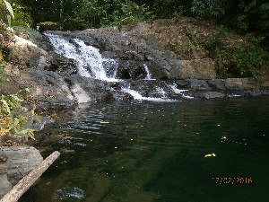 catarata
