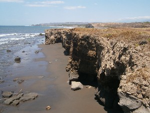 farallon