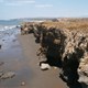 farallon