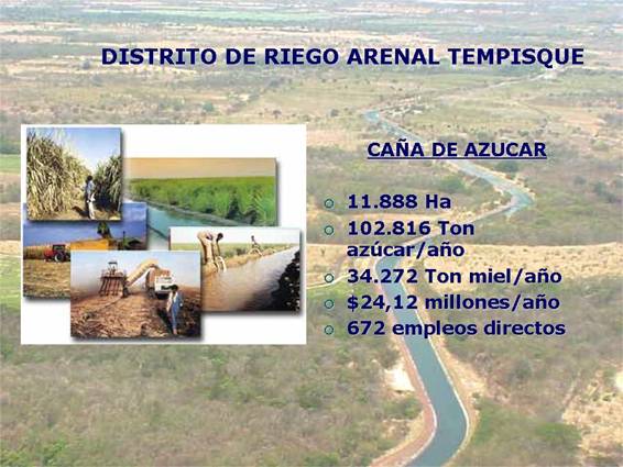 Imagen de la actividad de la ca&ntilde;a de az&uacute;car en el Distrito de Riego Arenal Tempisque