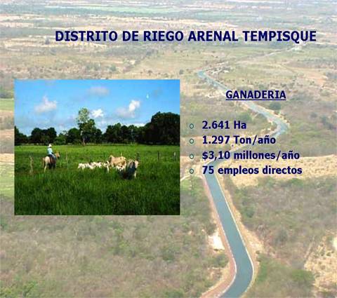 Imagen de la actividad de la ganader&iacute;a en el Distrito de Riego Arenal Tempisque