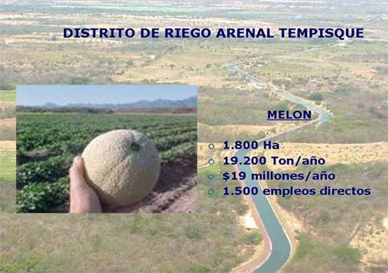 Imagen de la actividad de mel&oacute;n en el Distrito de Riego Arenal Tempisque